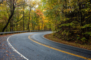 Curved Country Scenic Road Surrounded by Colorful Autumn Trees