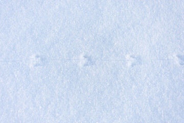 Texture of snow. Mouse tracks in the snow