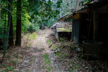 四国の山奥の廃村と未舗装路 © Ryolemon