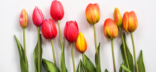 Obraz premium Bouquet of tulips on a white background with leaves. copy space area