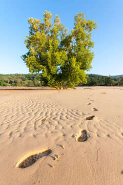 Footsteps in the sand