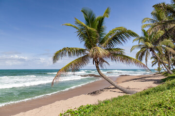 Obraz na płótnie Canvas paradise beach in bahia