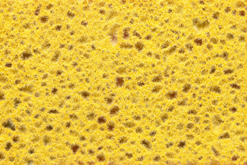A colorful sponge texture, orange sponge background.
