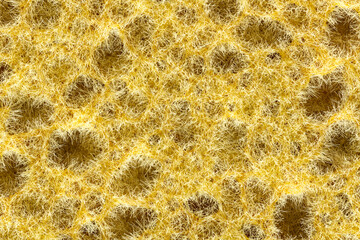 A colorful sponge texture, orange sponge background.