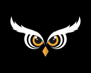 Owl eyes in the black background