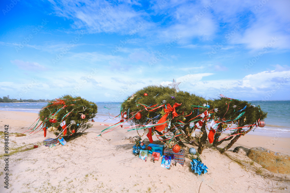 Wall mural christmas tree by the sea, punaluu beach park, oahu, hawaii