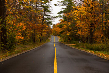 A fall drive after a rainfall to view the colourful autumn trees. 