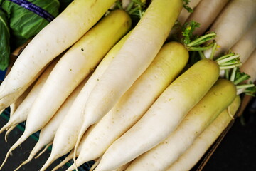 採れたての大根が並ぶ売り場