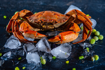 crab on the ice  background 