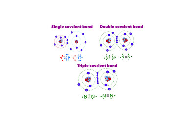 Covalent bonds [Single, double, triple]