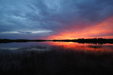 Colorful sunrise cloudscape reflected on tranquil water of Nine Mile Pond in Everglades National Park, Florida.