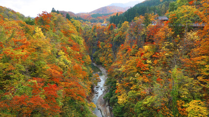 Oyasukyo Gorge in Akita Prefecture, Tohoku, Japan.