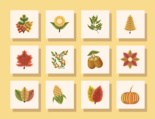 happy thanksgiving traditional celebration collection square icons