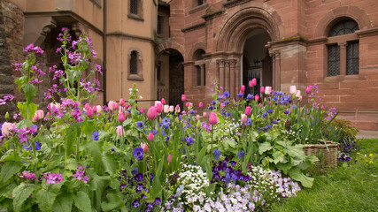 Fototapeta na wymiar Garden of Pink, Purple, and White Flowers in Front of an Old Stone Church in the Village of Equisheim in the Region of Alsace in France