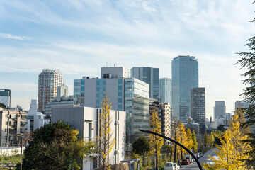 Fototapeta na wymiar 都市の風景　東京渋谷