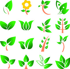 Vector icon set for Nature flower and Leaf EPS10