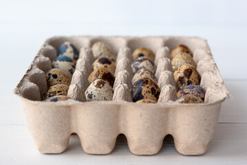 Quail eggs in cardboard packaging close up