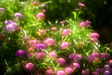 カラフルな世界