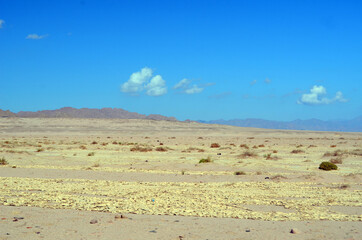 Fototapeta na wymiar Motion blure. Jeep safari.Photos were taken while driving. Desert of Sinai Peninsula, Egypt. Near Sharm El Sheikh