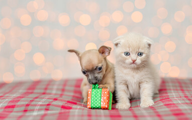 Fototapeta na wymiar Tiny Toy terrier puppy and baby kitten sit together with gift box on festive background. Empty space for text