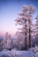 Beautiful winter landscape in the mountains. Sunset
