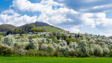 Streuobstwiesen mit Burg Teck, Owen, Baden-Württemberg