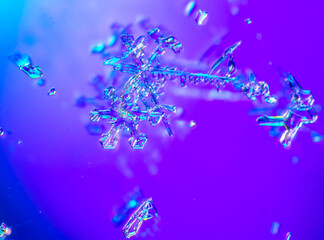 Fototapeta na wymiar Snowflakes on a blue background with reflection.