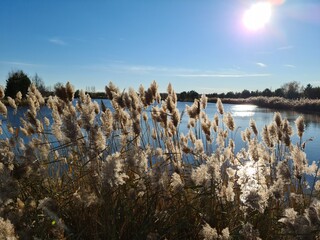 sunset over the lake