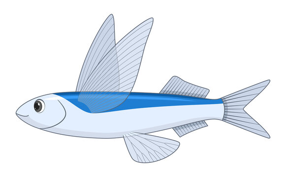 recommend clip art: Flying fish on a white background