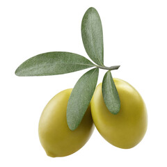 Two delicious green olives on branch, isolated on white background