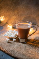 Chocolate mug with gingerbread cookie and marshmallows with Christmas lights - Christmas eve - Christmas content - Christmas traditions