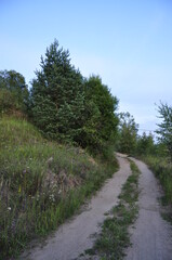 Fototapeta na wymiar kostroma forests 
