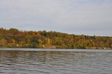 autumn forest from the river 