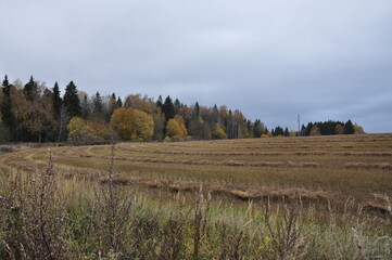 plowed field 