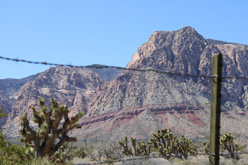 Fototapeta premium fence in the mountains
