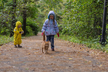 Fototapeta premium Girls and red cat in the woods