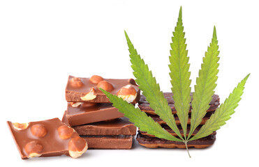 Hemp leaf with chocolate pieces with nuts containing CBD cannabis on white isolated background. Entertainment drug concept