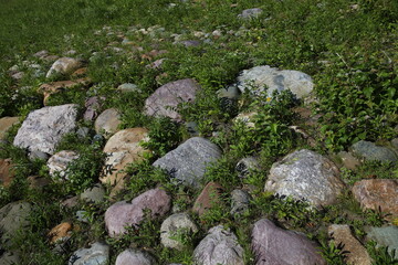 Image of stones of different colors gray brown yellow and texture half in the ground overgrown with grass in the wild.Natural rocks coating