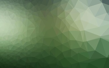 Fototapeta premium Light Green vector polygonal template. Colorful abstract illustration with gradient. Brand new style for your business design.