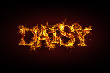 Daisy name made of fire and flames