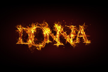 Fototapeta premium Donna name made of fire and flames