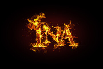 Fototapeta na wymiar Ina name made of fire and flames