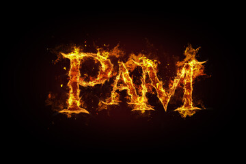 Fototapeta premium Pam name made of fire and flames