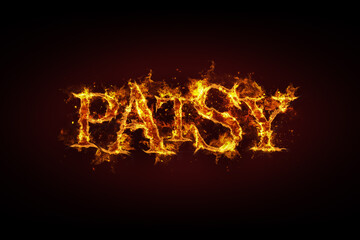 Fototapeta premium Patsy name made of fire and flames