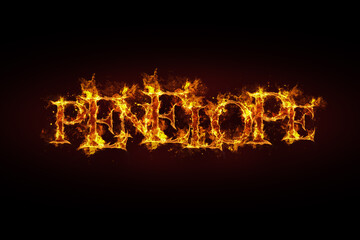 Penelope name made of fire and flames