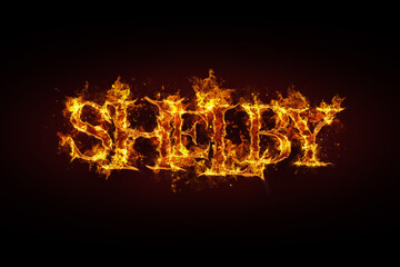 Fototapeta premium Shelby name made of fire and flames
