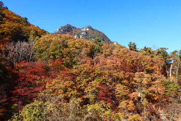 秋の山　御岳昇仙峡は甲府市の北部の渓谷。溪谷沿いの遊歩道からは花崗岩の断層や奇岩・奇石の絶景を見ることができる。