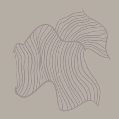 abstract element stripes and lines for design.