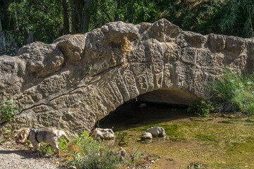 Small Medieval stone bridge on a stream in Loarre Spain