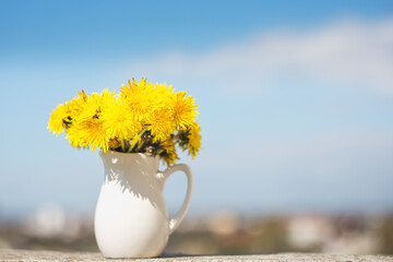 Yellow dandelions on a blue sky background with a copy of the space space For your text. A bouquet of dandelions in a White vase close-up.